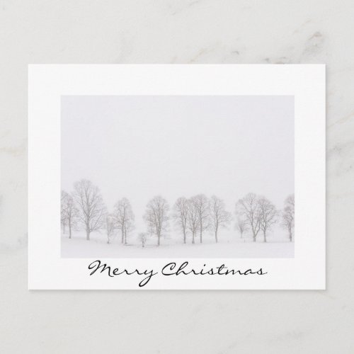 Trees in winter in a white world christmas card