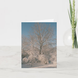 Trees laden with Snow Notecards