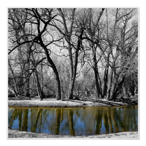 Trees Landscape Reflection in Water Isolated Color Poster