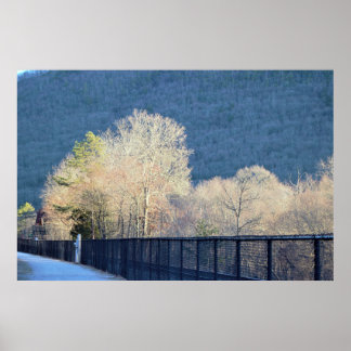 Trees Lehigh Gorge State Park Poster