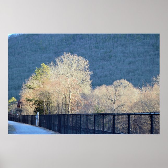 Trees Lehigh Gorge State Park Poster (Front)