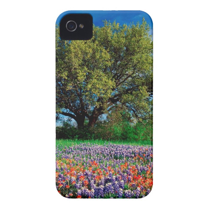 Trees Live Oak Among Texas Bluebonnets iPhone 4 Cover