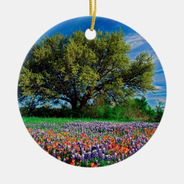 Trees Live Oak Among Texas Bluebonnets Ceramic Ornament (Front)