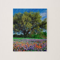 Trees Live Oak Among Texas Bluebonnets
