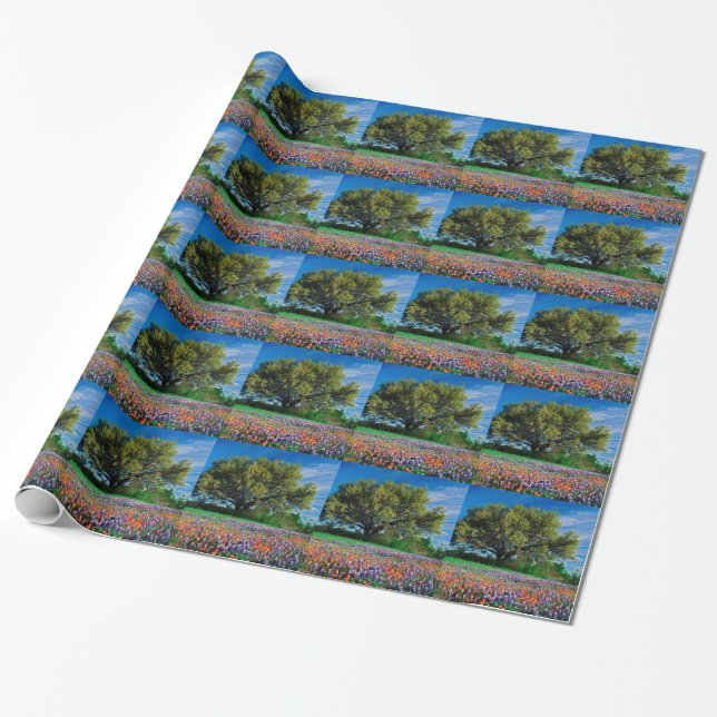 Trees Live Oak Among Texas Bluebonnets Wrapping Paper (Unrolled)
