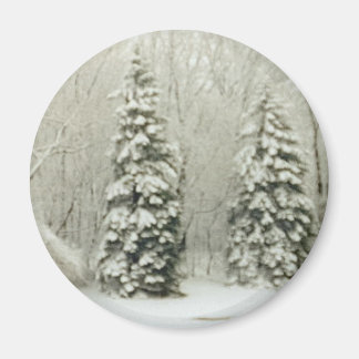 trees magnet
