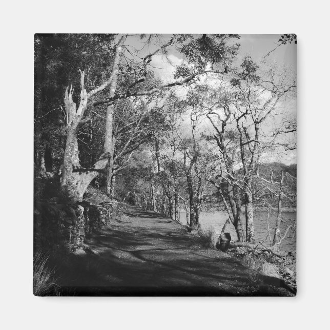 TREES MAGNET (Front)