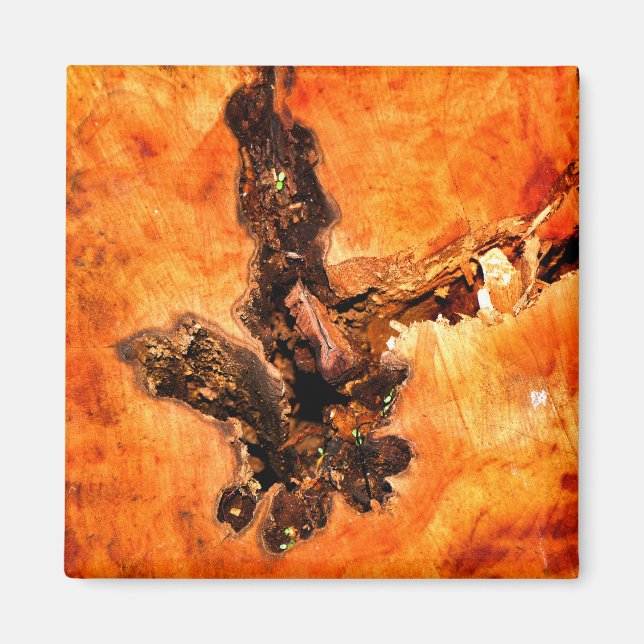 TREES MAGNET (Front)