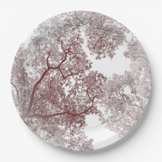 Trees Map 4 Paper Plates (Front)