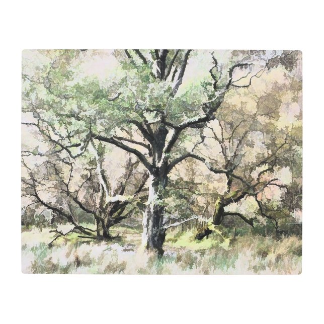 TREES METAL PRINT (Front)