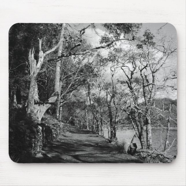 TREES MOUSE PAD (Front)