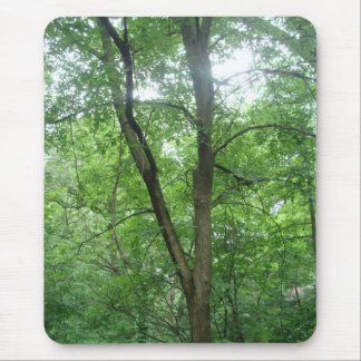 Trees Mouse Pad