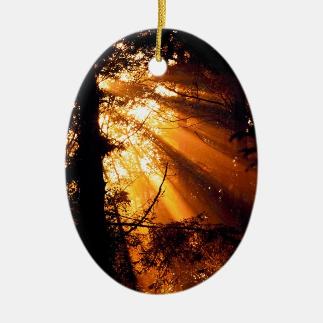 Trees Mystic Sunbeams Olympic Ceramic Ornament (Front)