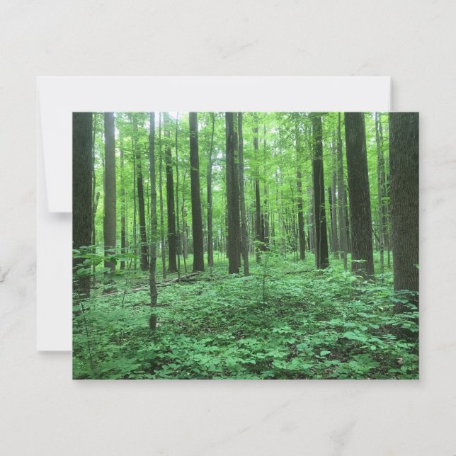 "Trees!" Note Card (Front)