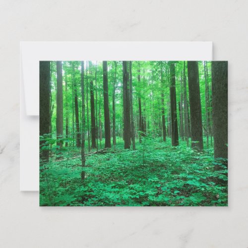 Trees Note Card