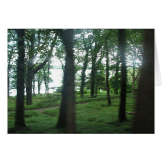 Trees of County Kerry Cards