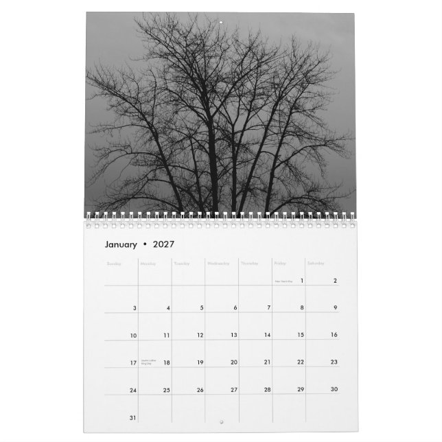 Trees Of The Pacific Northwest Calendar (Jan 2027)