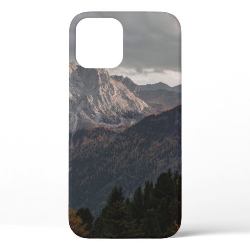 TREES ON MOUNTAINS UNDER GREY SKY iPhone 12 CASE