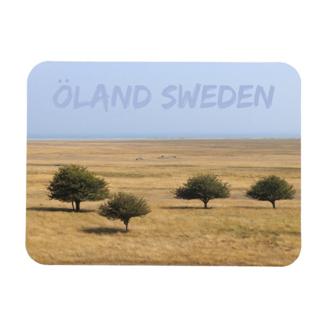 Trees on the Savannah, Öland, Sweden Magnet (Horizontal)