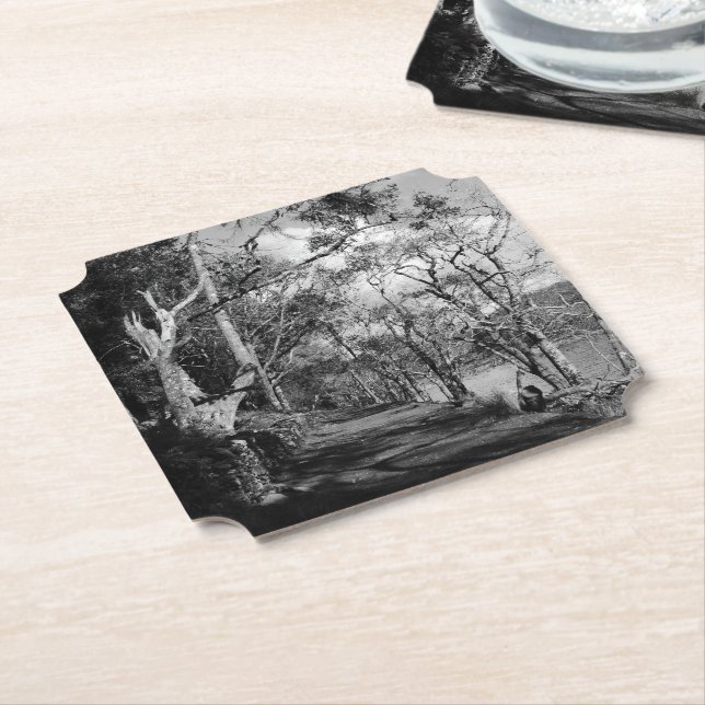 TREES PAPER COASTER (Angled)