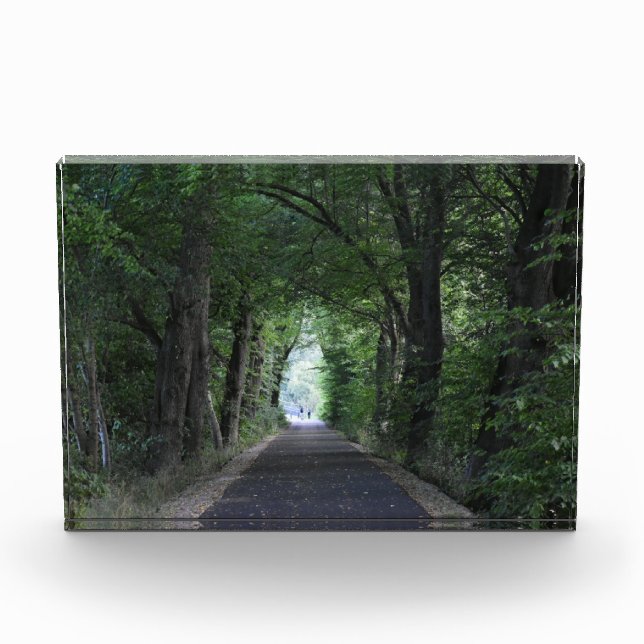 Trees Photo Block (Front)