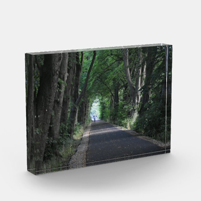 Trees Photo Block (Left)