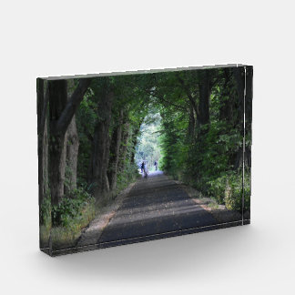 Trees photo block