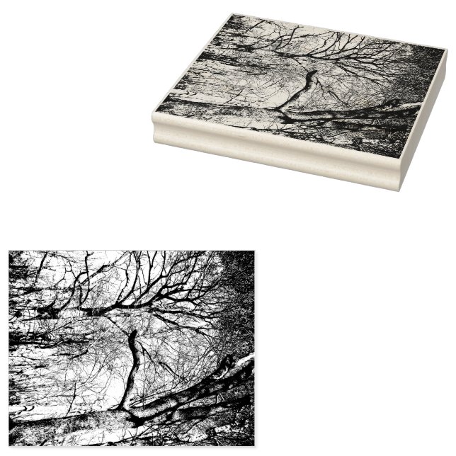 Trees Photo Rubber Stamp (Stamped)