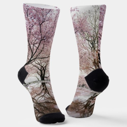 trees plant nature socks