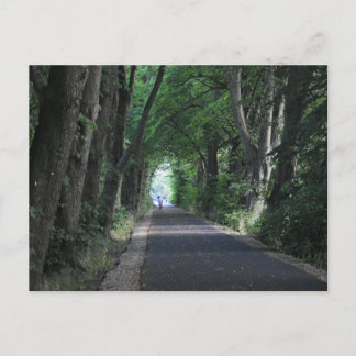 Trees postcard