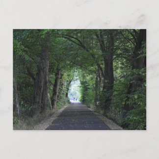 Trees Postcard