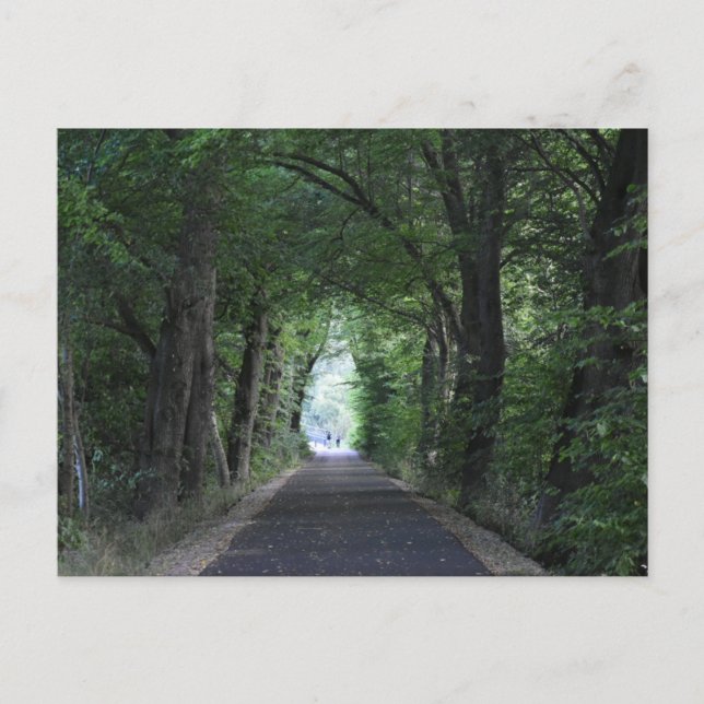 Trees Postcard (Front)