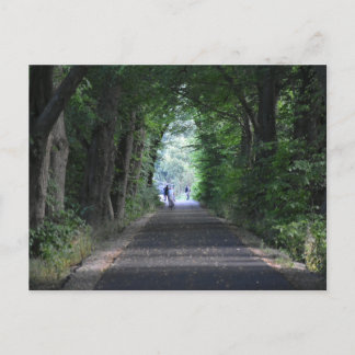 Trees Postcard
