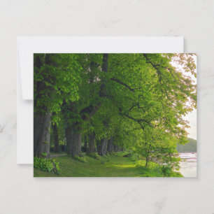 Trees postcard