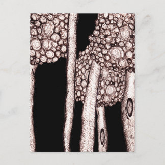 Trees Postcard