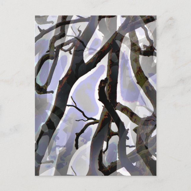 TREES POSTCARD (Front)