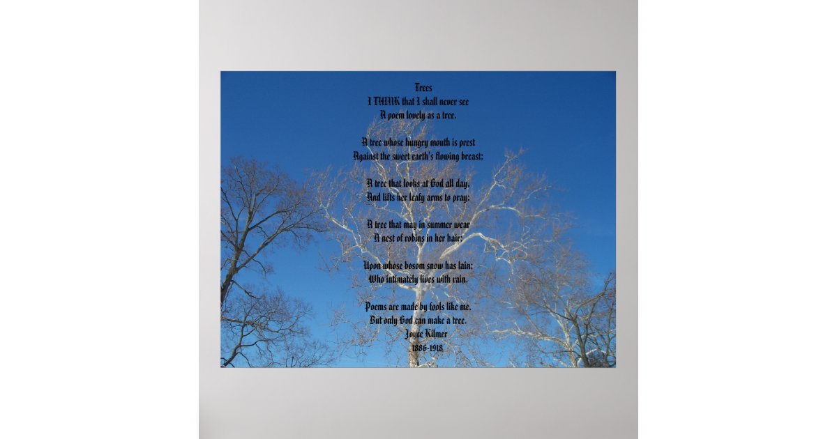 Trees Poster | Zazzle