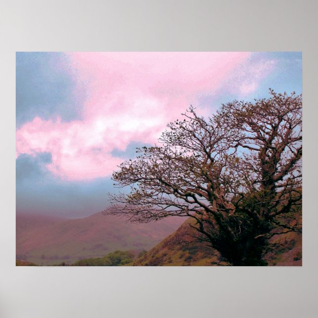 TREES POSTER (Front)