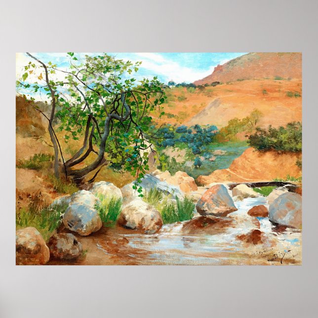 Trees Rocks Mountain View Poster (Front)