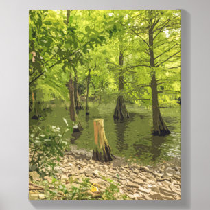 Trees rooted in water view photo tile