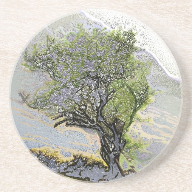 TREES SANDSTONE COASTER (Front)