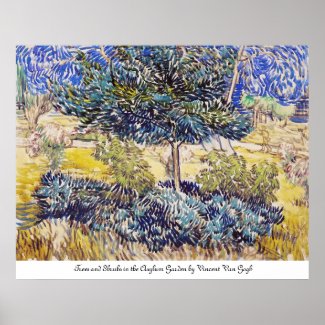 Trees Shrubs Asylum Garden Vincent Van Gogh Poster