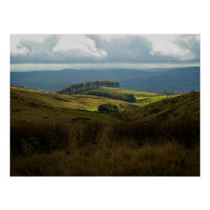 Trees sitting on sunlit hill in early autumn poster