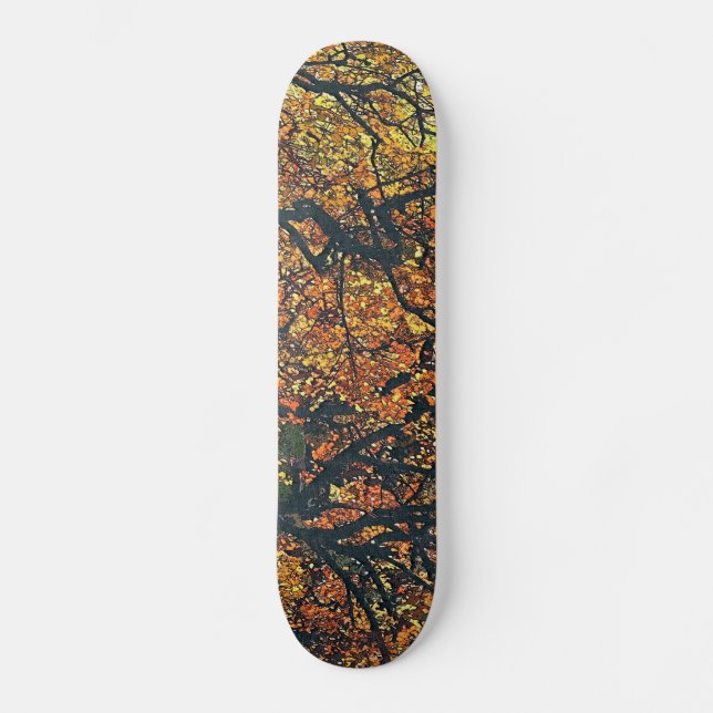 TREES SKATEBOARD (Front)