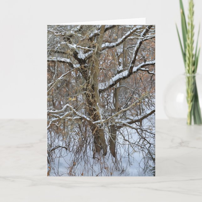 Trees Snow Winter Art Note Card (Front)