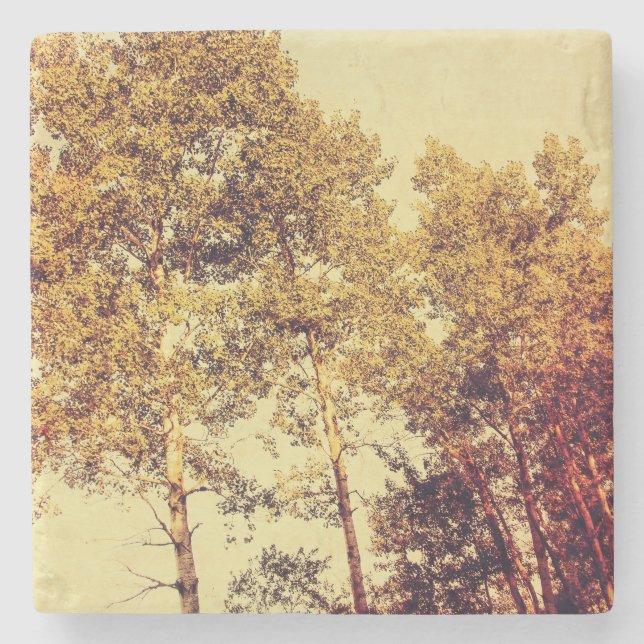 trees stone coaster (Front)