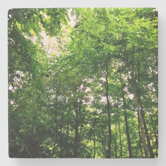 Trees Stone Coaster (Front)