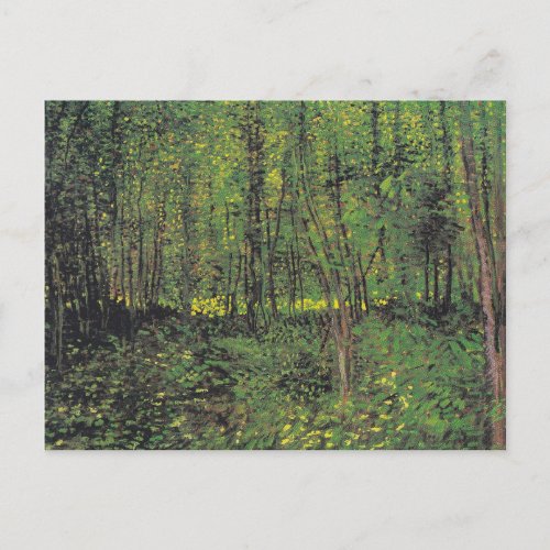 Trees  Undergrowth by Van Gogh Postcard