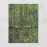 Trees & Undergrowth by Van Gogh Postcard