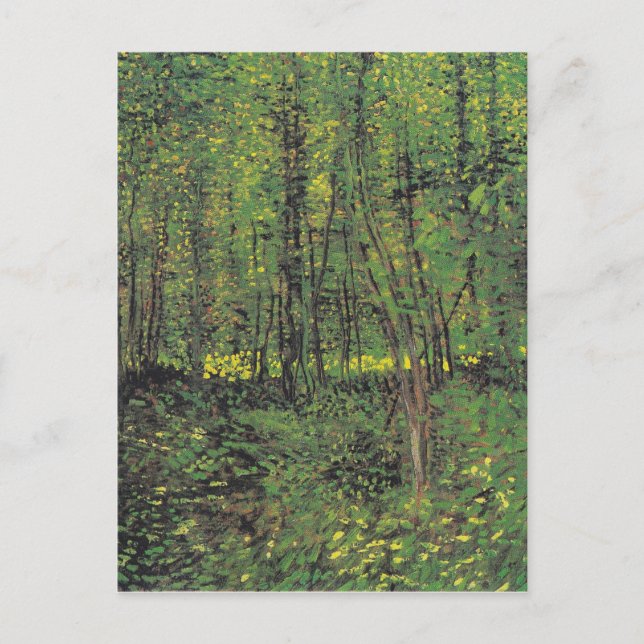 Trees & Undergrowth by Van Gogh Postcard (Front)